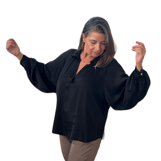 Emilia silky satin collared V - neck blouse